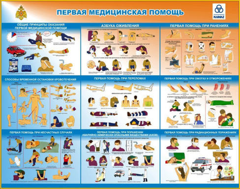 изготовить Стенд Первая медицинская помощь