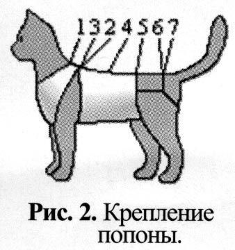 Схема попоны для кошки