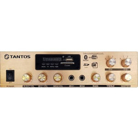 Усилитель Tantos TSo-AA30M выход 100Вт / 30Вт (00-00025068)