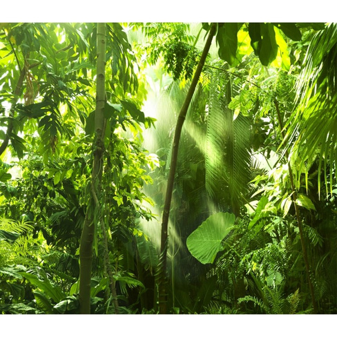 Фотообои Dekor Vinil Тропическая зелень