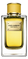 Парфюмерная вода Dolce & Gabbana Velvet Ginestra
