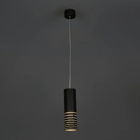 Люстра подвесная PL22 1 лампа 2 м² цвет черный ЭРА PL22 BK