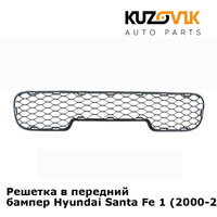 Решетка в передний бампер Hyundai Santa Fe 1 (2000-2012) KUZOVIK