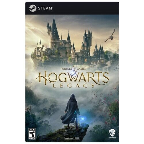 Hogwarts Legacy (Версия для СНГ, кроме РФ и РБ) (PC) (цифровая версия) Warner Bros. Games